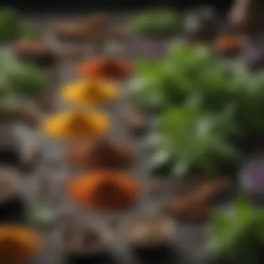 A colorful array of fresh herbs and spices