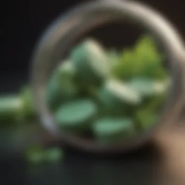 Natural Ingredients in Spearmint Tea Pills Close-up of spearmint tea pills with natural ingredients
