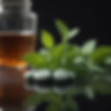 Health-Boosting Spearmint Tea Pills Bottle of spearmint tea pills for health and wellness