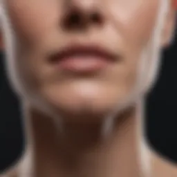 Anatomy of neck jowls