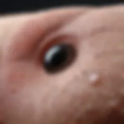 Skin Pore Microscopic View