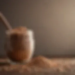 Diverse sources of vegan protein powder showcasing legumes, grains, and seeds.